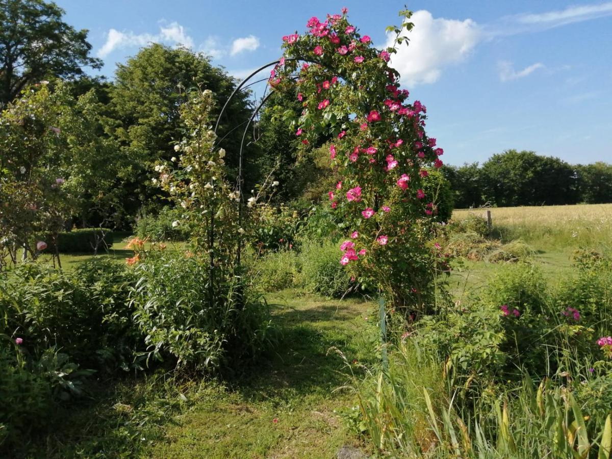 Les Berges De La Planchette Bed & Breakfast Yvignac-la-Tour Luaran gambar